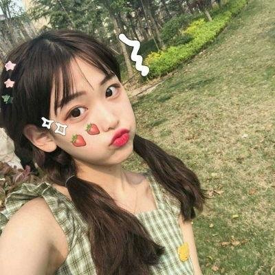 白痴5和哭喊的夫人